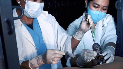 DominaFireOfficial: Medical CBT sessions by two nurses