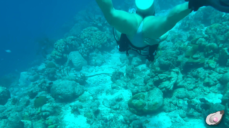 Mistress Pink Pearl: Sam czas w Bonaire