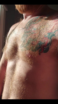 The Morning Sunlight