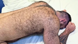 Culo Peludo Y Aguantador