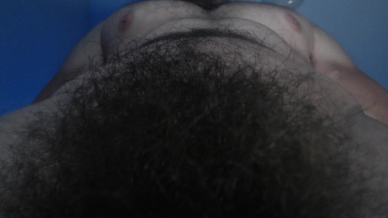 Hunky time: Bos Alpha berbulu