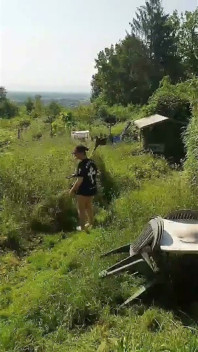 La più grande troia dell'Alsazia mostra il suo culo in strada C davanti ai passanti