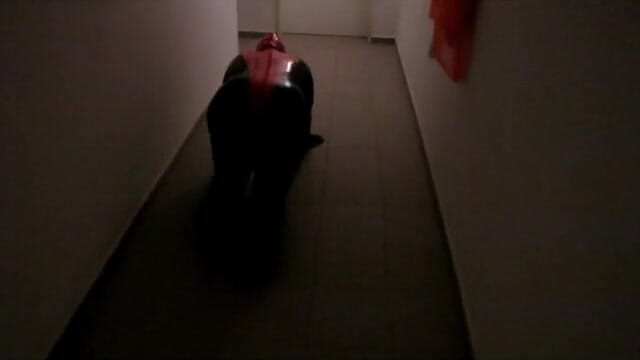 Anna Devot: Petplay dalam sut lateks