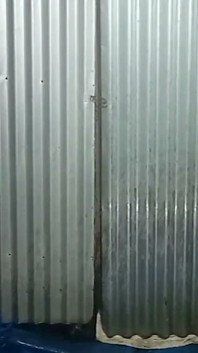 Good Morning Video