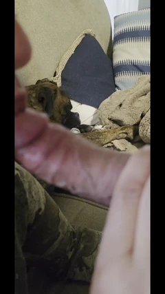 Hot Latina Wife Gives Husband Some More Cock Throbbing Blow Jobs