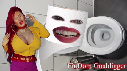 FinDom Goaldigger: Przekształcenie w papier toaletowy