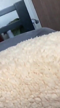 Cinta saya, saya akan menghisapnya sebelum awak memasukkan semuanya ke dalam saya