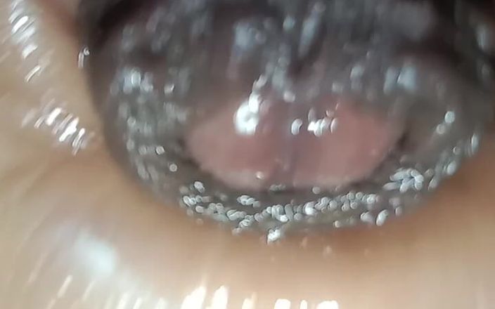 Ravina2001: 私が持っている陸上ボートは非常に高価で、看護師は非常に高価です
