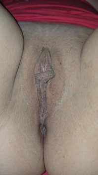 3, 2, 1… Hier Ist Ihre Muschi