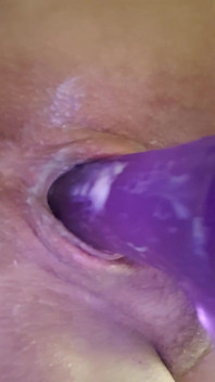 Purple Giant