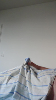 Freiheit Für Die Morgenlatte Im Bett