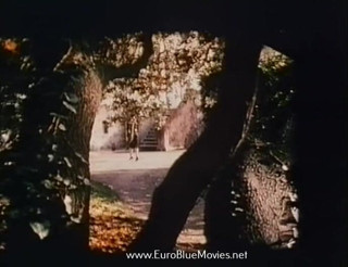 Euro Blue Movies: Francouzský peklo - celý film