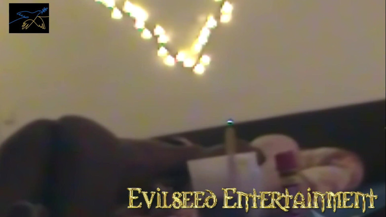 Evilseed Entertainment: Lucio šuká velkou krásku