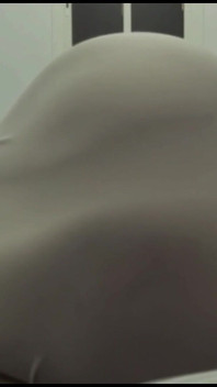 Essasexe