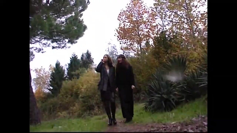 The Swingers & CO.: Lesvic Harabeleri (film)