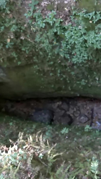 Icebox diavolo - avventura nella grotta di pompino