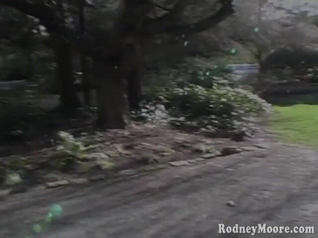 Horny Hairy Girls: Vintage ragazza pelosa college d'arte viene scopata