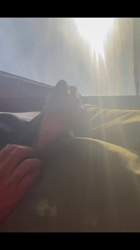 Pissing in Sunset
