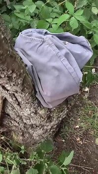 Il patrigno ha trovato un ragazzo nella legge