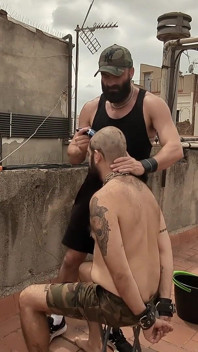 El maestro barbudo tiene un cerdo peludo esclavo y se afeita la cabeza.