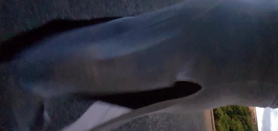 Lingeriemanx69: Rochie albă și plimbare pe stradă
