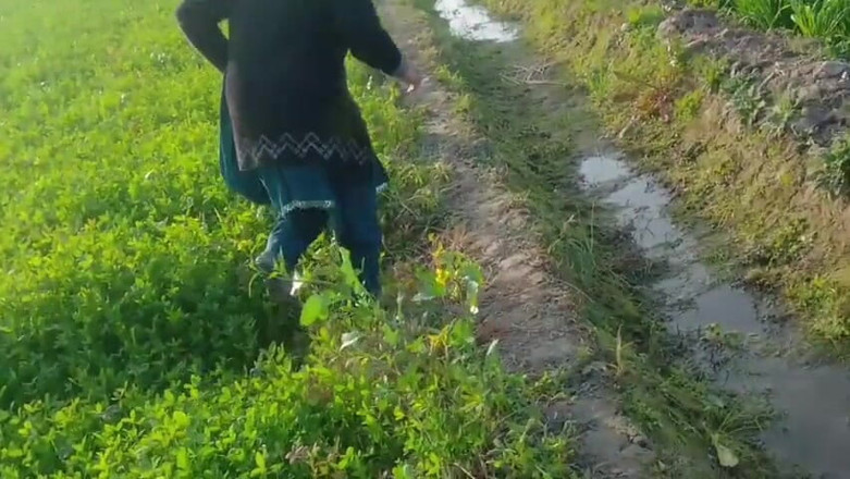 Abida sexy: 畑で彼女の尻を犯し始め、誰かが上から来て、それから私は去った