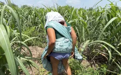 Komal neukte seks in de buitenlucht