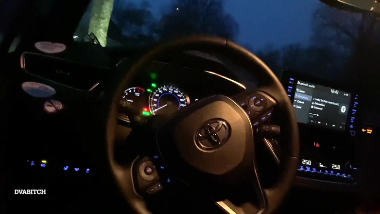 Dvabitch: Late night car closeup blowjob