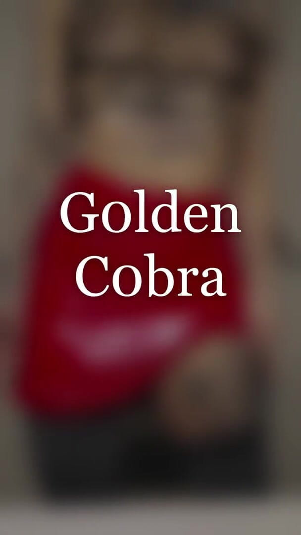 G0lden C0bra: Lateks panas merah