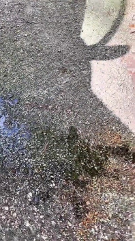 숲에서 엉덩이를 만지고 사정해요