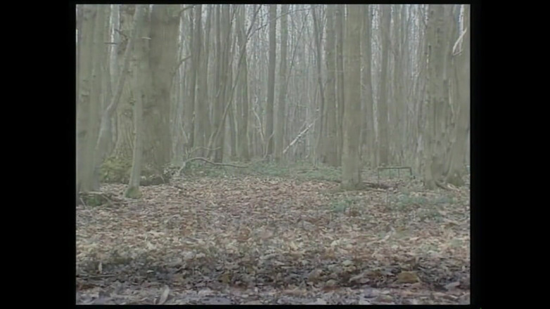 MMV films - The Original: Německé děvky vědí, jak být ošukané nadrženými muži
