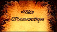 Purzel Official: Mandy en Maria werden hard geneukt door een grote gast