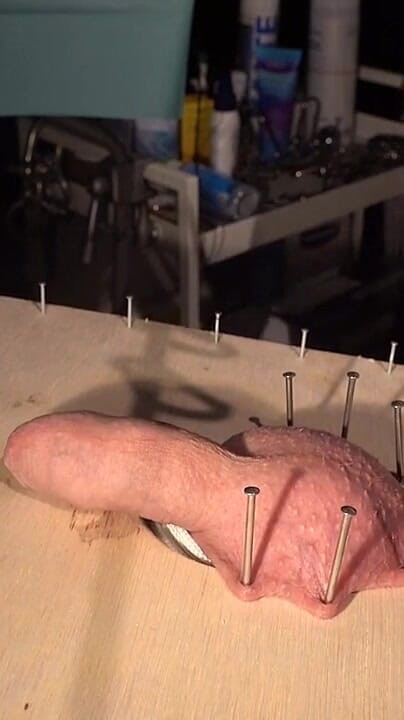 Hardcore CBT with Fishhooks and Needles Part One (The room of Sadic Sadie)