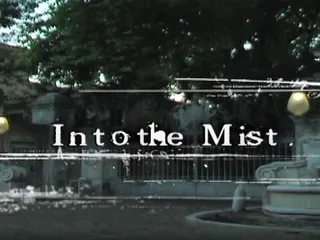 Into the Mist Episode V: Who Is Brad?