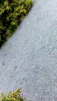 Barefoot and Bare Cunt