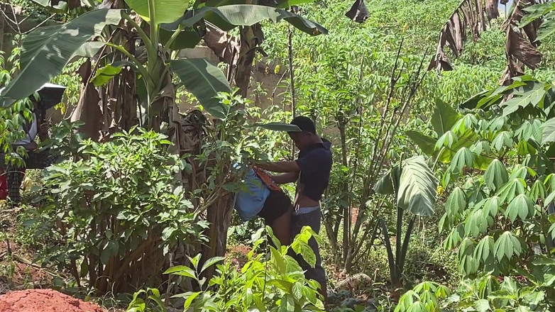 Amateur Teen Studio: Soyez rapide pour que personne ne nous attrape (dans les coulisses)