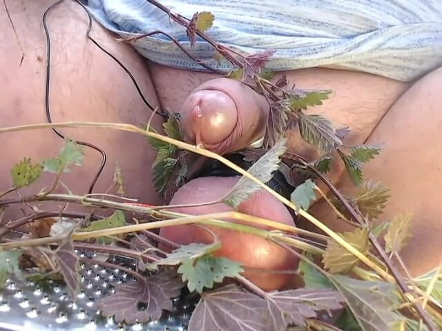 Gaylectrician: Seronok dengan nettles