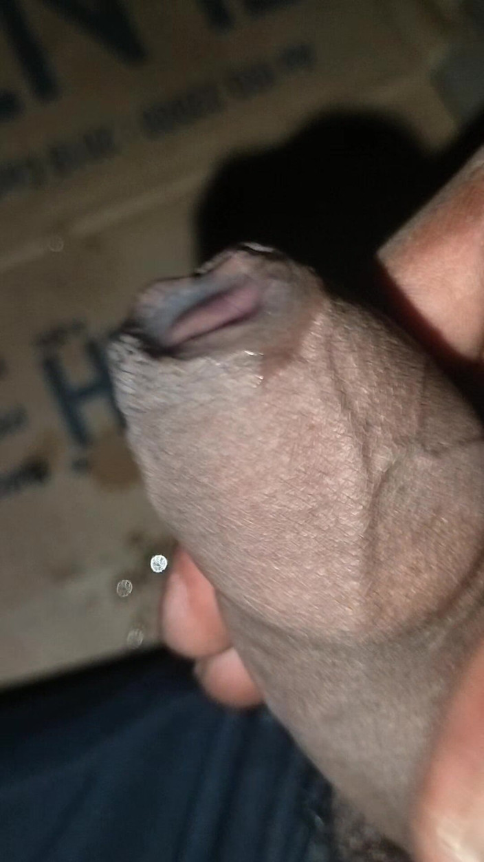 FrozenOpenair8: Sado-maso genial