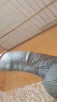 Sugar boy si è appena aderito a questo si vuole qualcuno con cui sparare
