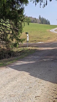 Ladylena Dělá Všechno Pro Drive-thru / Přistižená / Šuká / orální Sex / Venku