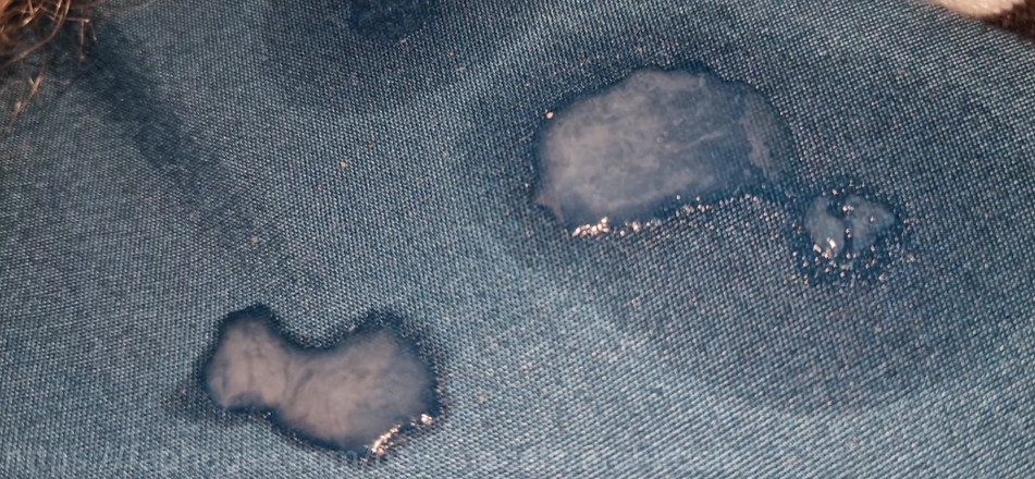 ArchiRusik: Pantat bahenol cewek sange ini dientot habis-habisan sama kontol besar...