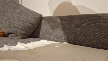 SteveSmokeHolland: Kendi yarağımı em #3