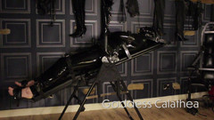 Goddess Calathea: Těžké otroctví v inverzním stole a sezení na obličeji