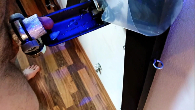 Master Drex: Ferramenta de ordenha