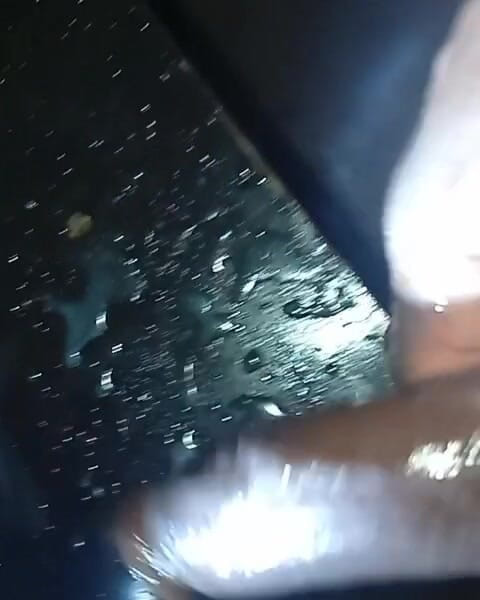 Badman4606: Vahşi en büyük siyah Afrikalı yarak