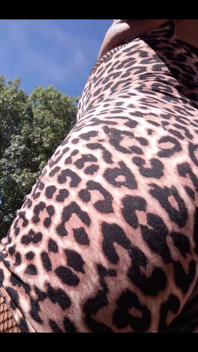 I Was a Cheetah Girl Today. I Had a Good Route in the Burbs and Was Cool with My Cheeta Print