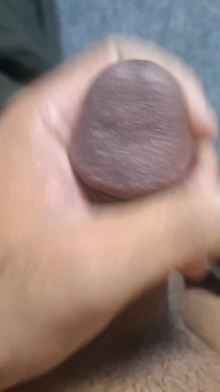 Shahzadi: पाकिस्तानी टाई गाइ