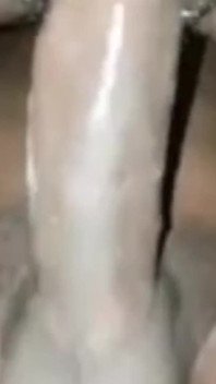 Menghisap zakar hitam besar menunggang zakar kerasnya orgasme merintih