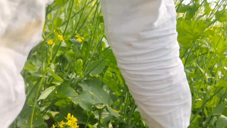 BlondeTroubleshootor: Hindi