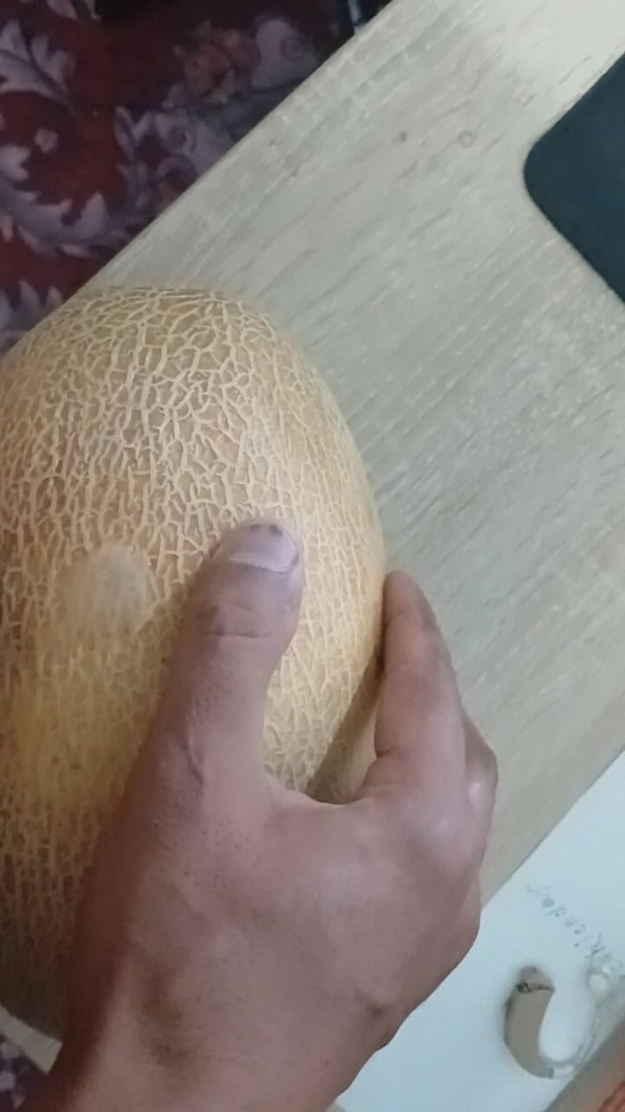 AlexCat: A Melon Named Yulia